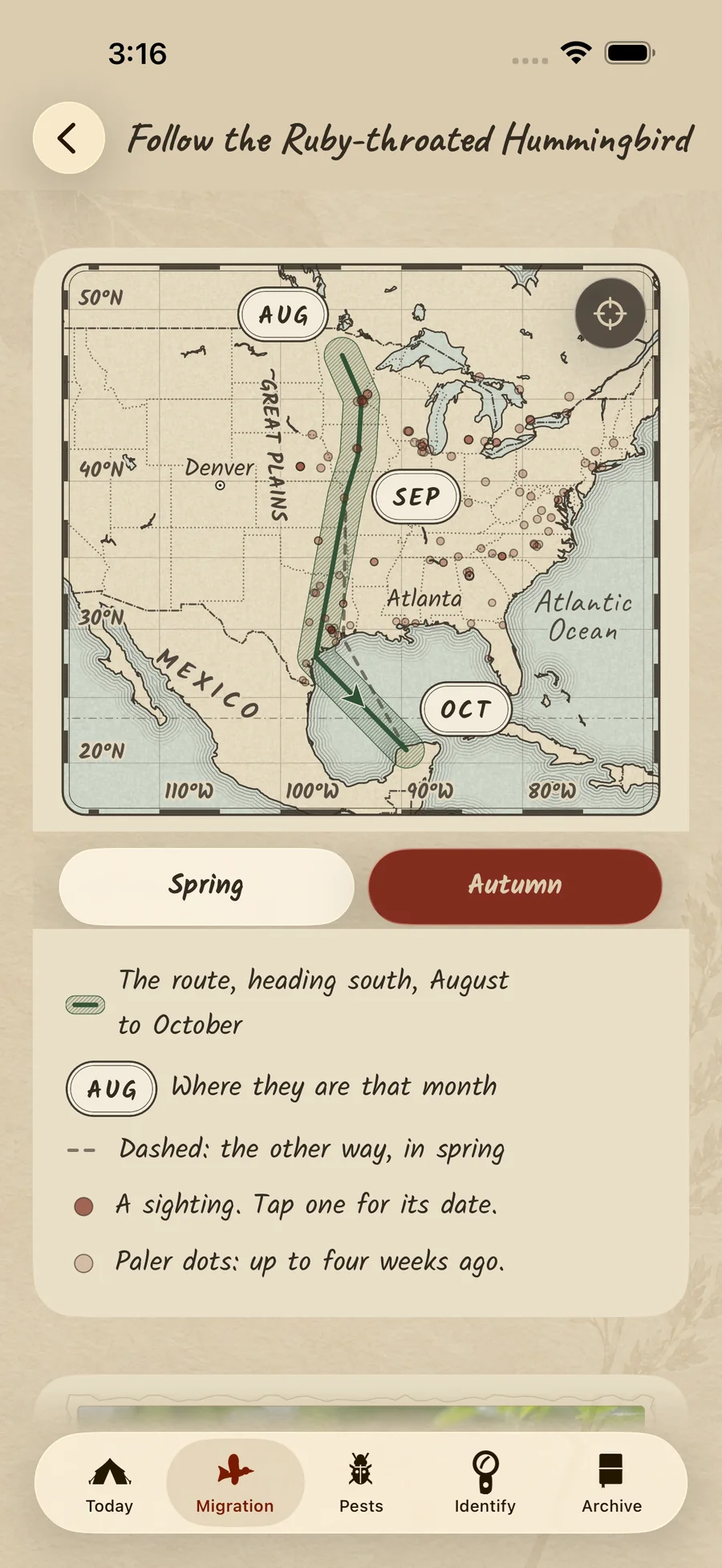 Backporch following the Ruby-throated Hummingbird south on an engraved map, August to October